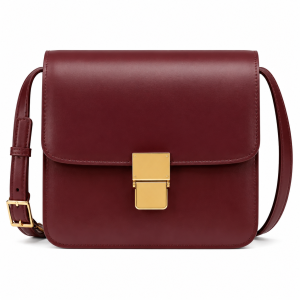 Classic Clasp Crossbody Bag
